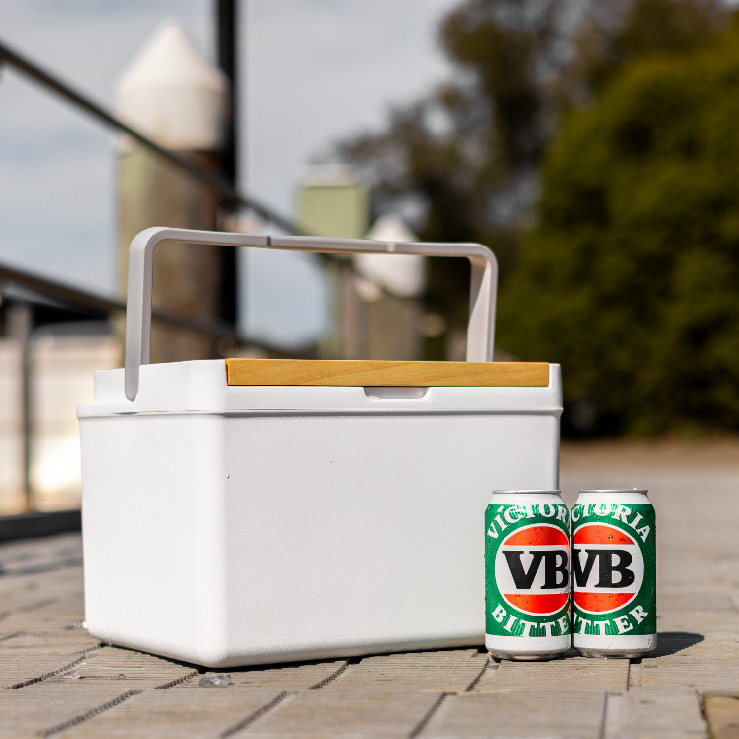 Picnic Cooler Box- 11L
