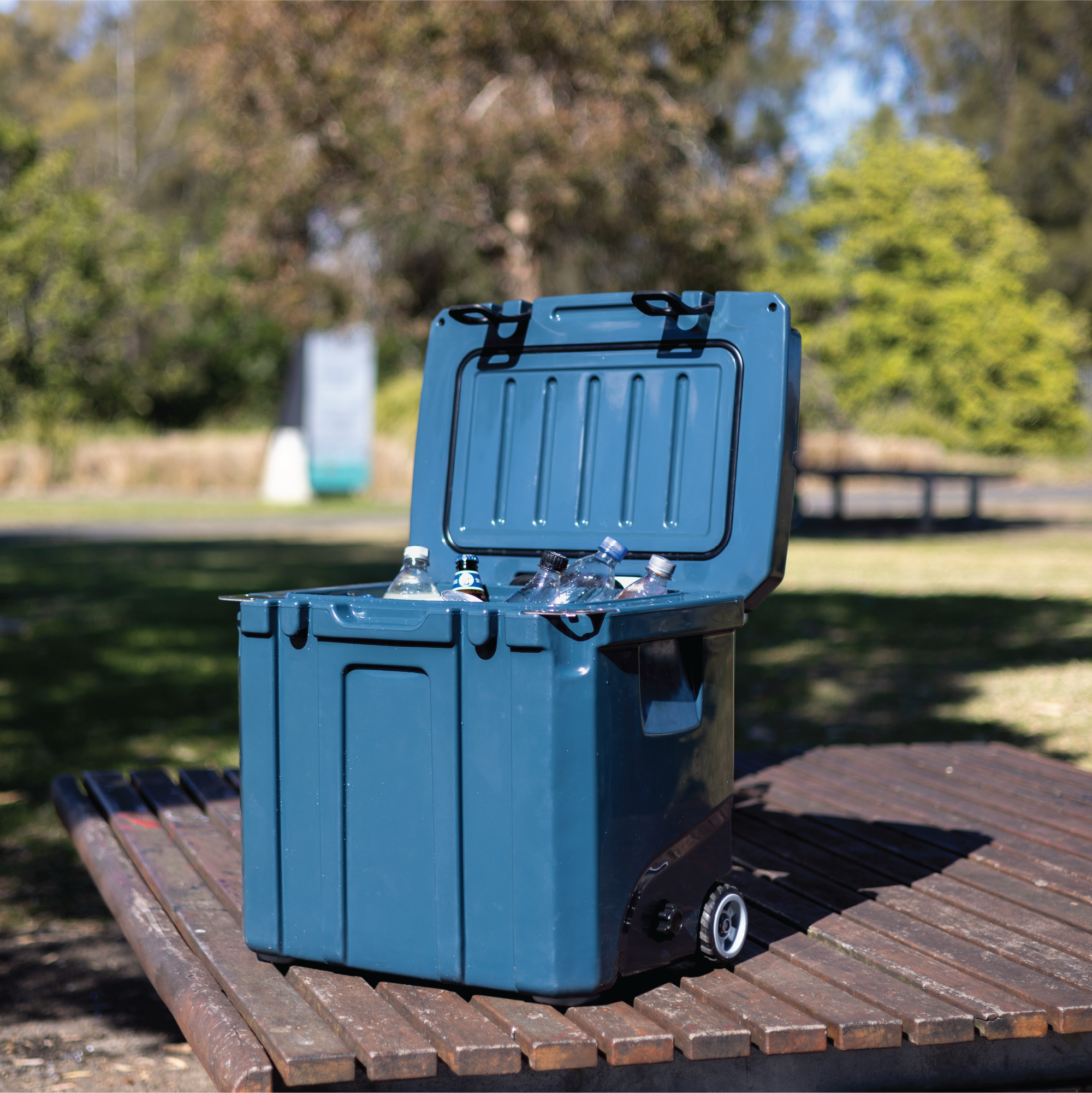 Cooler Box with Wheels - 31L