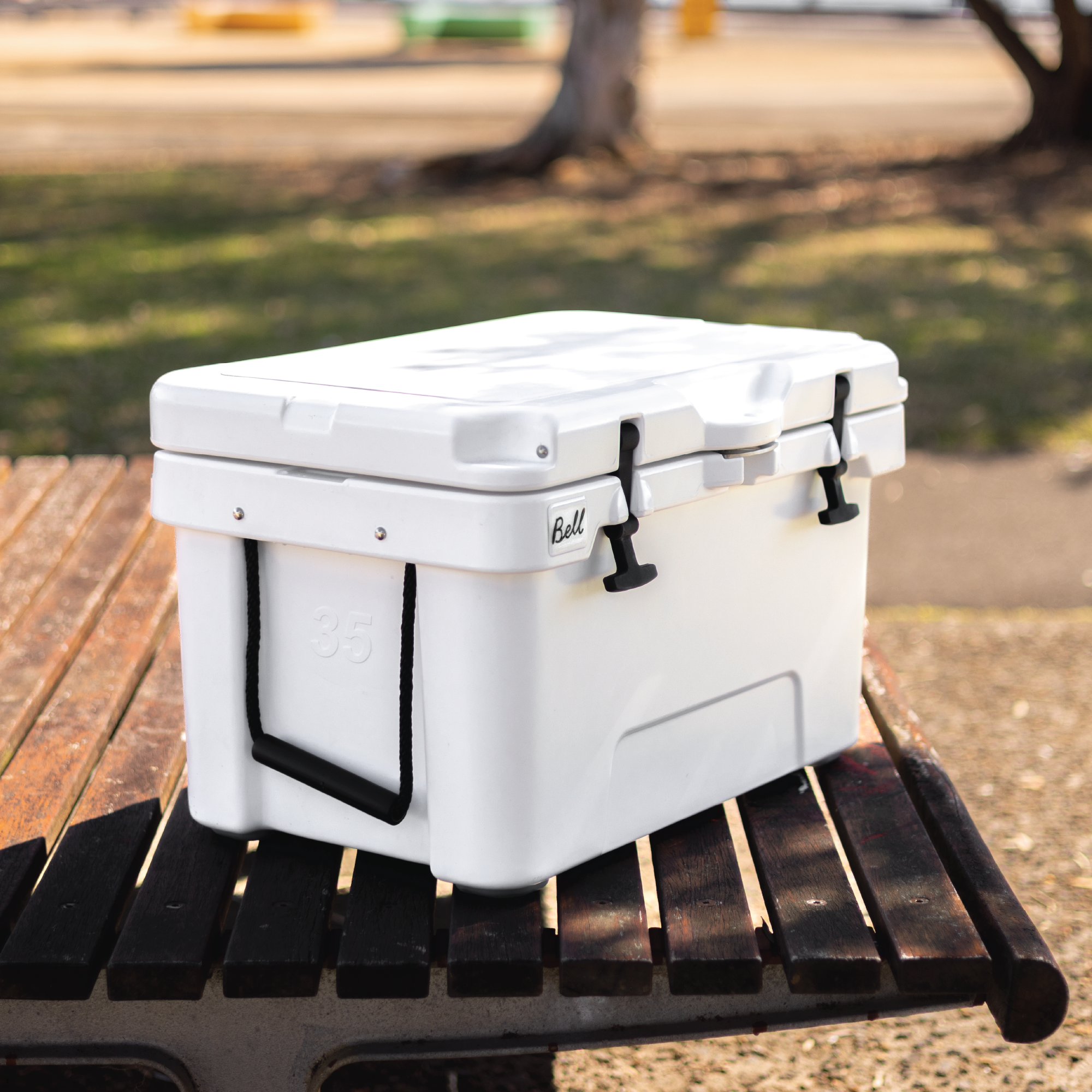 Cooler Box - 31L
