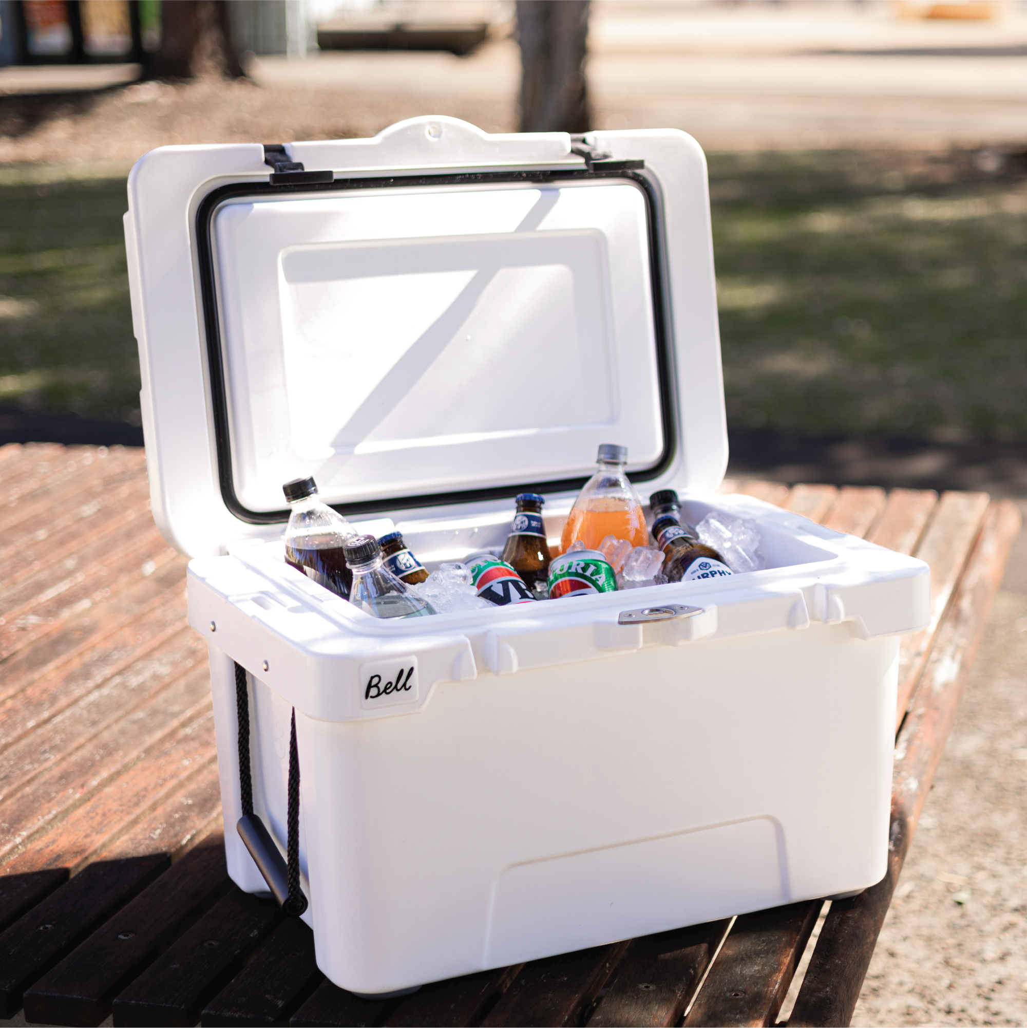 Cooler Box - 31L